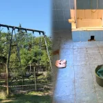 Мухи й пліснява в «Артеку»: омбудсмен розкрив порушення